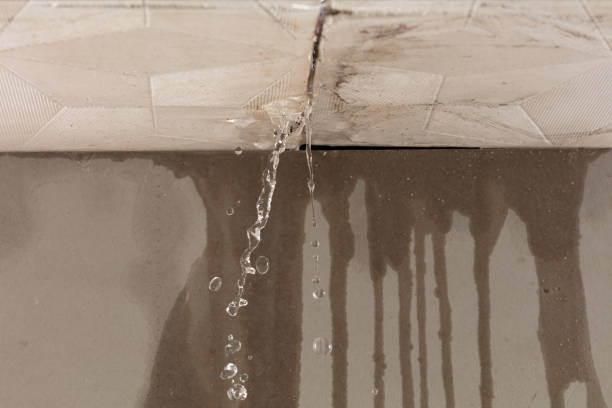 Professional Burst Pipe Cleanup technician working in Lewisville, MN
